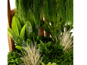 Collection plant vol 538 - blender model 3D Model
