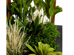 Collection plant vol 538 - blender model 3D Model