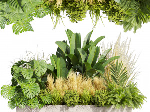 Collection plant vol 539 - garden - pampas - banana - mostera 3D Модель