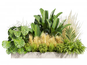 Collectie plant deel 539 - tuin - pampa's - banaan - monstera 3D Model