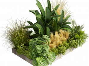 Collection plant vol 539 - garden - pampas - banana - mostera 3D Model