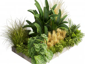 Collectie plant deel 539 - tuin - pampa's - banaan - monstera 3D Model