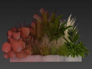 Collection plant vol 539 - garden - pampas - banana - mostera 3D Model