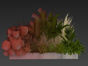 Collectie plant deel 539 - tuin - pampa's - banaan - monstera 3D Model