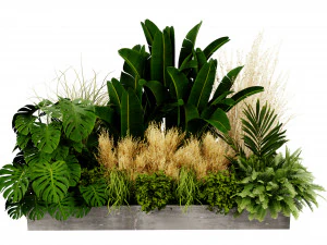 Collection plant vol 539 - blender model 3D Model