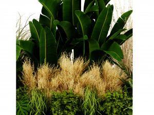 Collection plant vol 539 - blender model 3D Model