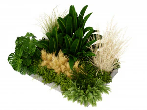 Collection plant vol 539 - blender model 3D Model