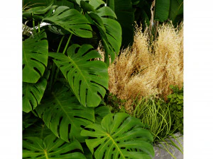 Collection plant vol 539 - blender model 3D Model