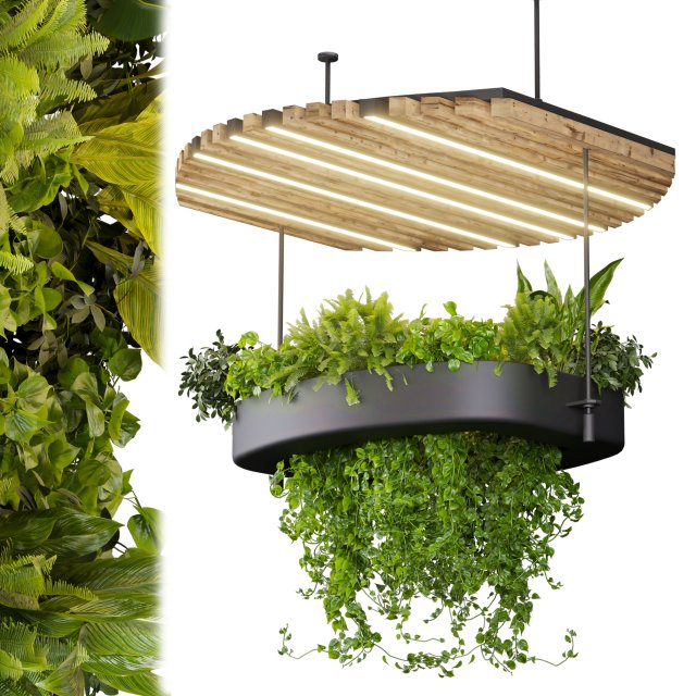 Collection plant vol 540 - chandelier - ampelous - ivy - pothos 3D Model .c4d .max .obj .3ds .fbx .stl .blend 