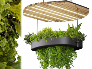 Collection plant vol 540 - chandelier - ampelous - ivy - pothos 3D Модель