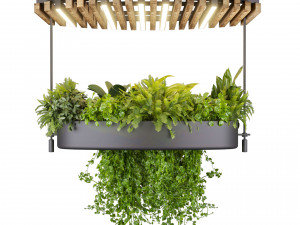 Collection plant vol 540 - chandelier - ampelous - ivy - pothos 3D Model
