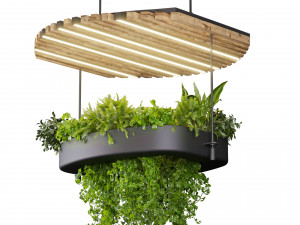 Collection plant vol 540 - chandelier - ampelous - ivy - pothos 3D Model