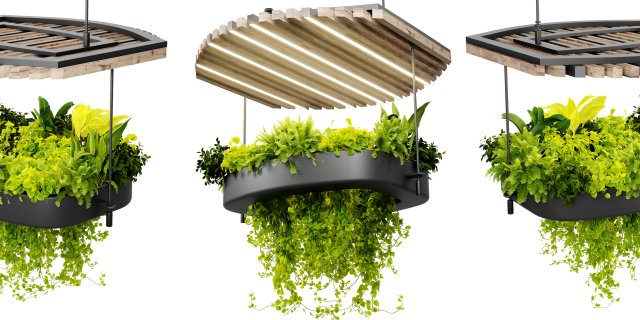 Collection plant vol 540 - blender model 3D Model .c4d .max .obj .3ds .fbx .stl .blend 
