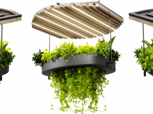 Collection plant vol 540 - blender model 3D Модель