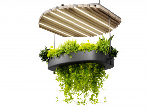 Collection plant vol 540 - blender model 3D Model