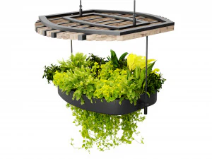 Collection plant vol 540 - blender model 3D Model