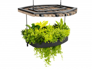 Collection plant vol 540 - blender model 3D Model