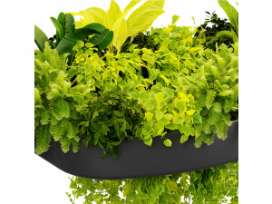 Collection plant vol 540 - blender model 3D Model