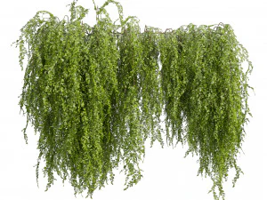 Collection plant vol 541 - bush - Outdoor - ivy 3D Model