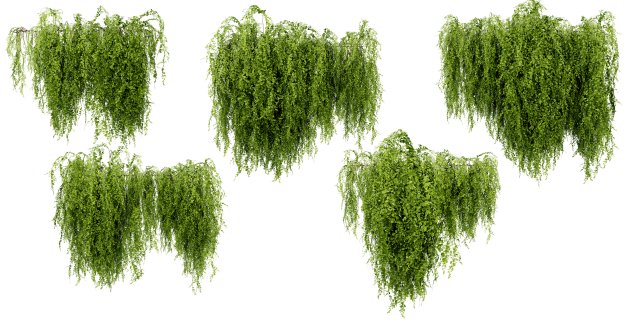 Collection plant vol 541 - blender model 3Dモデル .c4d .max .obj .3ds .fbx .stl .blend 