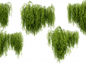 Planta de coleta vol 541 - modelo liquidificador Modelo 3D