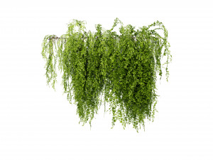 Collection plant vol 541 - blender model 3Dモデル
