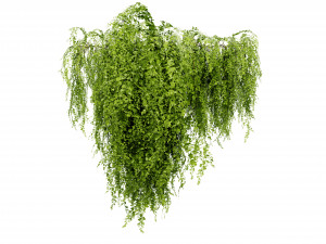 Collection plant vol 541 - blender model 3Dモデル
