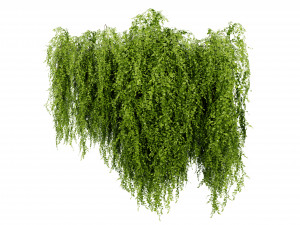 Collection plant vol 541 - blender model 3Dモデル