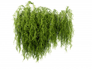 Collection plant vol 541 - blender model 3Dモデル
