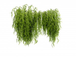 Collection plant vol 541 - blender model 3Dモデル