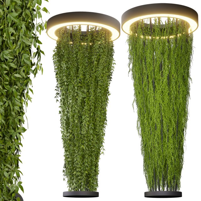 Collection plant vol 542 - ampelous - column - ivyv - fitowall 3D 模型 .c4d .max .obj .3ds .fbx .stl .blend 