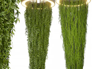 Колекція рослина том 542 - ампельна - колона - ивів - фітостенка 3D Модель