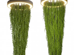 Collection plant vol 542 - ampelous - column - ivyv - fitowall 3D 模型