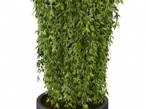 Collection plant vol 542 - ampelous - column - ivyv - fitowall 3D 模型