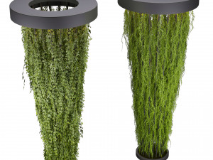 Collection plant vol 542 - ampelous - column - ivyv - fitowall 3D 模型