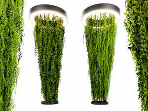 Collection plant vol 542 - blender model 3D Модель