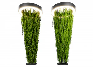Collection plant vol 542 - blender model 3D Model