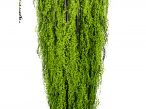 Collection plant vol 542 - blender model 3D 모델
