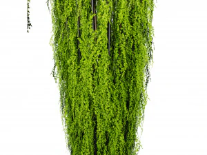 Collection plant vol 542 - blender model 3D Model