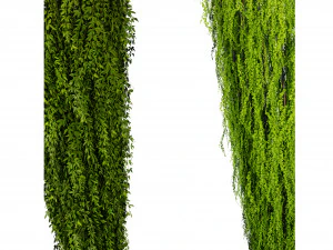 Collection plant vol 542 - blender model 3D Model