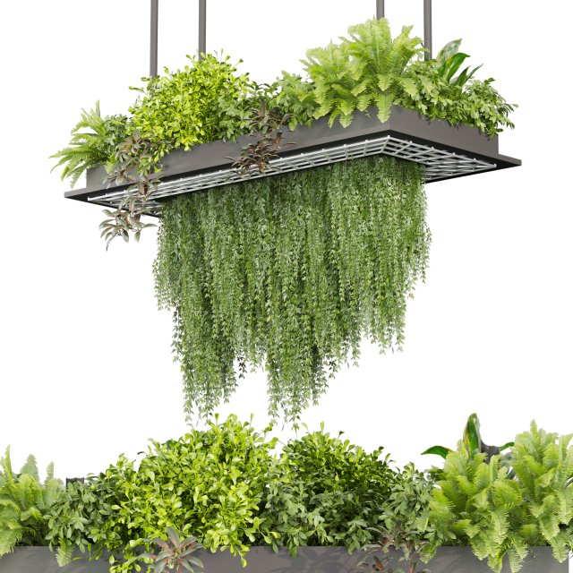 Collection plant vol 543 - ampelous - ivy - bush 3D 模型 .c4d .max .obj .3ds .fbx .stl .blend 