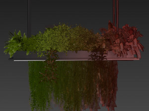 Collection plant vol 543 - ampelous - ivy - bush 3D 模型