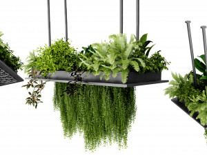 Collection plant vol 543 - blender model 3D Модель