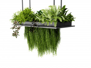 Collection plant vol 543 - blender model Modello 3D