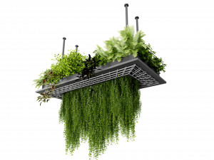 Collection plant vol 543 - blender model Modello 3D