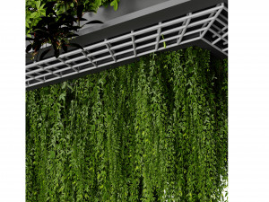 Collection plant vol 543 - blender model Modello 3D