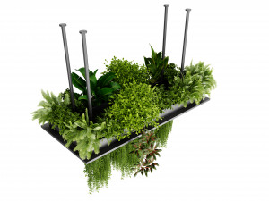 Collection plant vol 543 - blender model Modello 3D