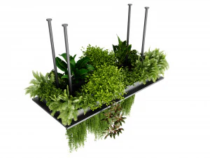 Collection plant vol 543 - blender model 3D Model