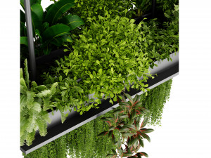 Collection plant vol 543 - blender model Modello 3D
