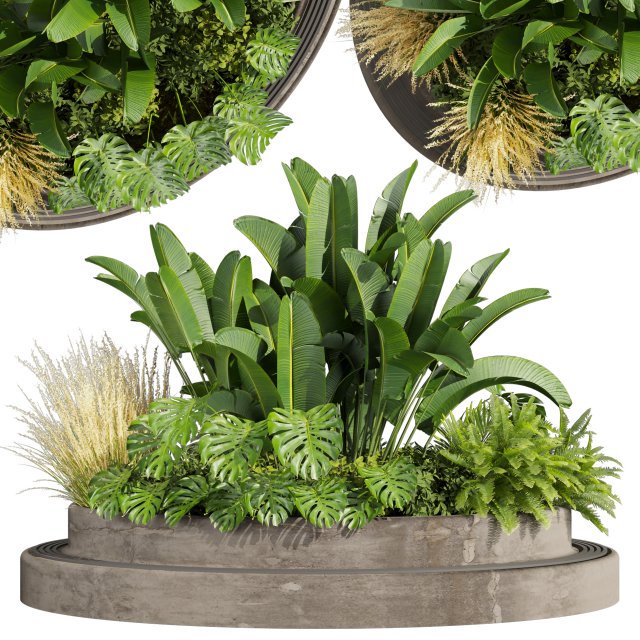 Collection plant vol 544 - garden - Landscape Design - backyard Modelo 3D .c4d .max .obj .3ds .fbx .stl .blend 